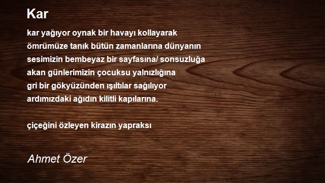 Ahmet Özer