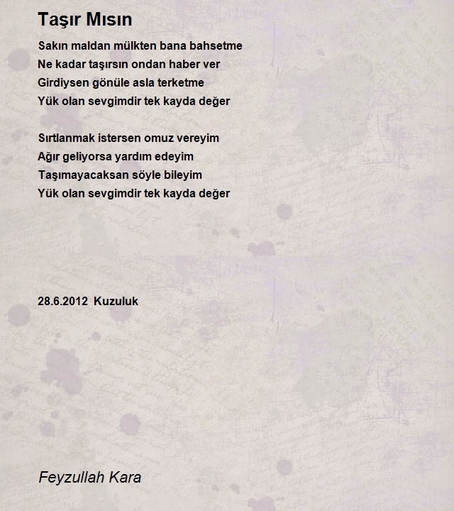 Feyzullah Kara
