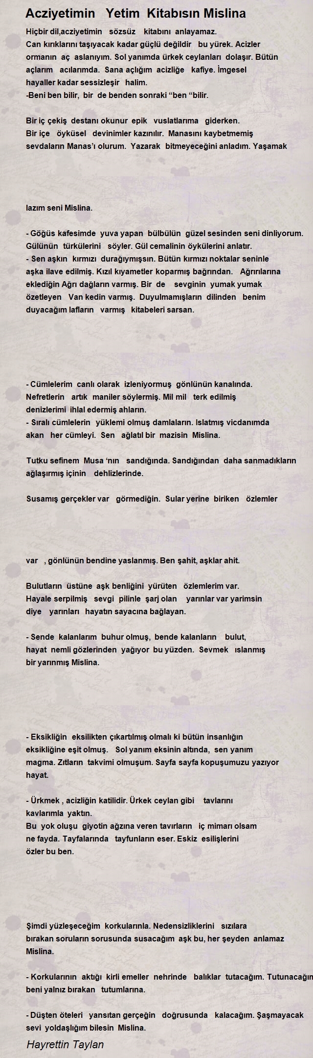 Hayrettin Taylan
