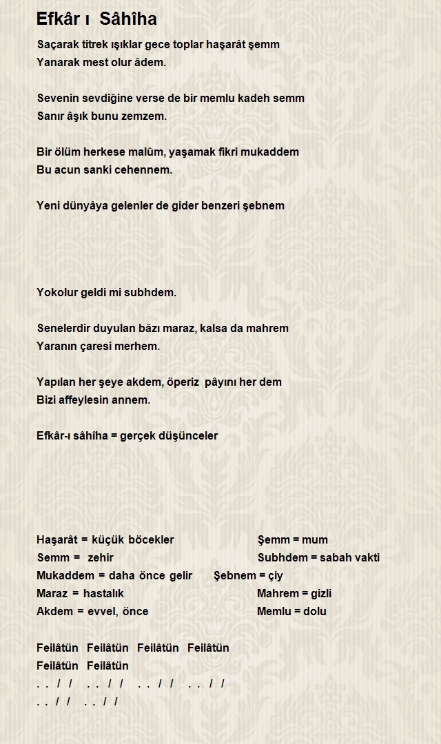 Mehmet Fatin Baki