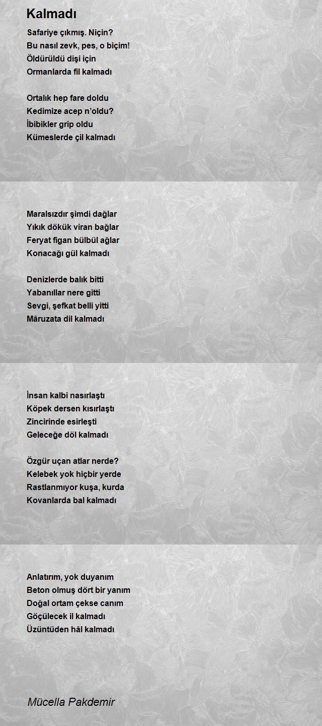 Mücella Pakdemir