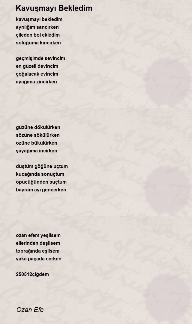 Ozan Efe