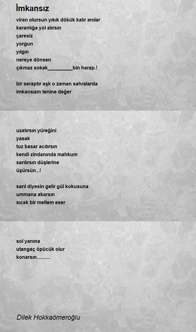 Dilek Hokkaömeroğlu