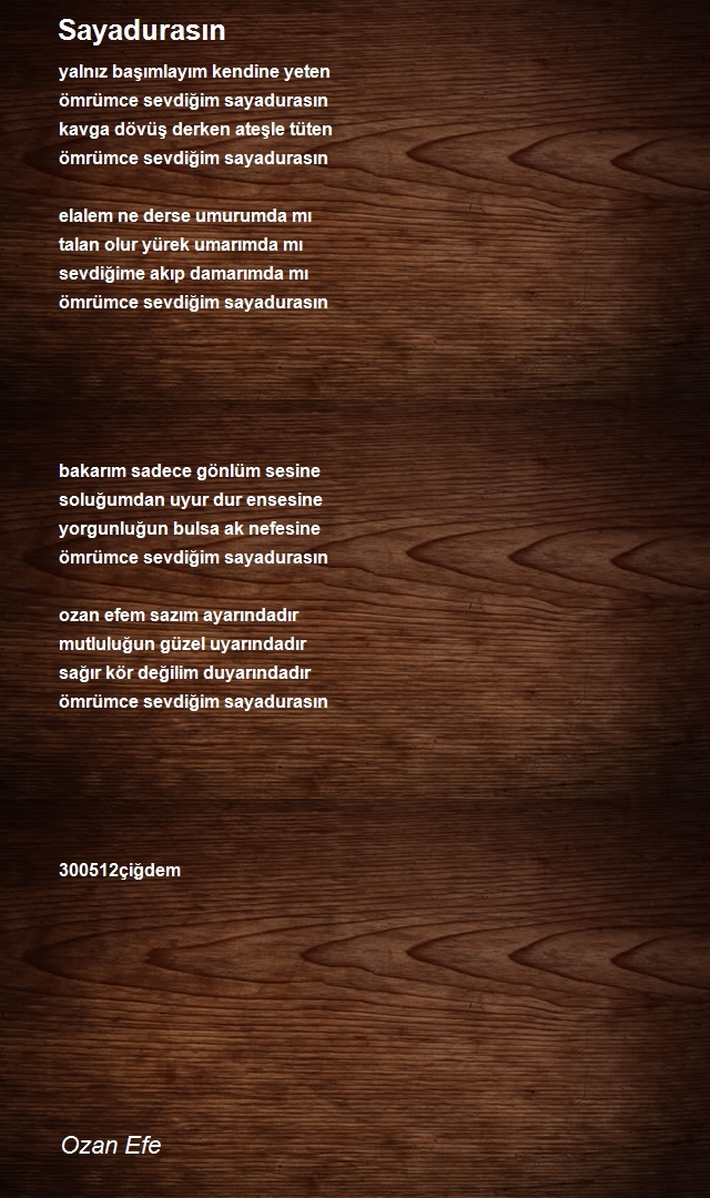 Ozan Efe