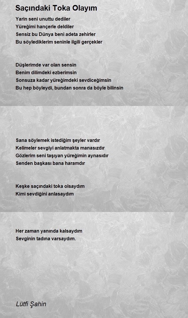 Lütfi Şahin