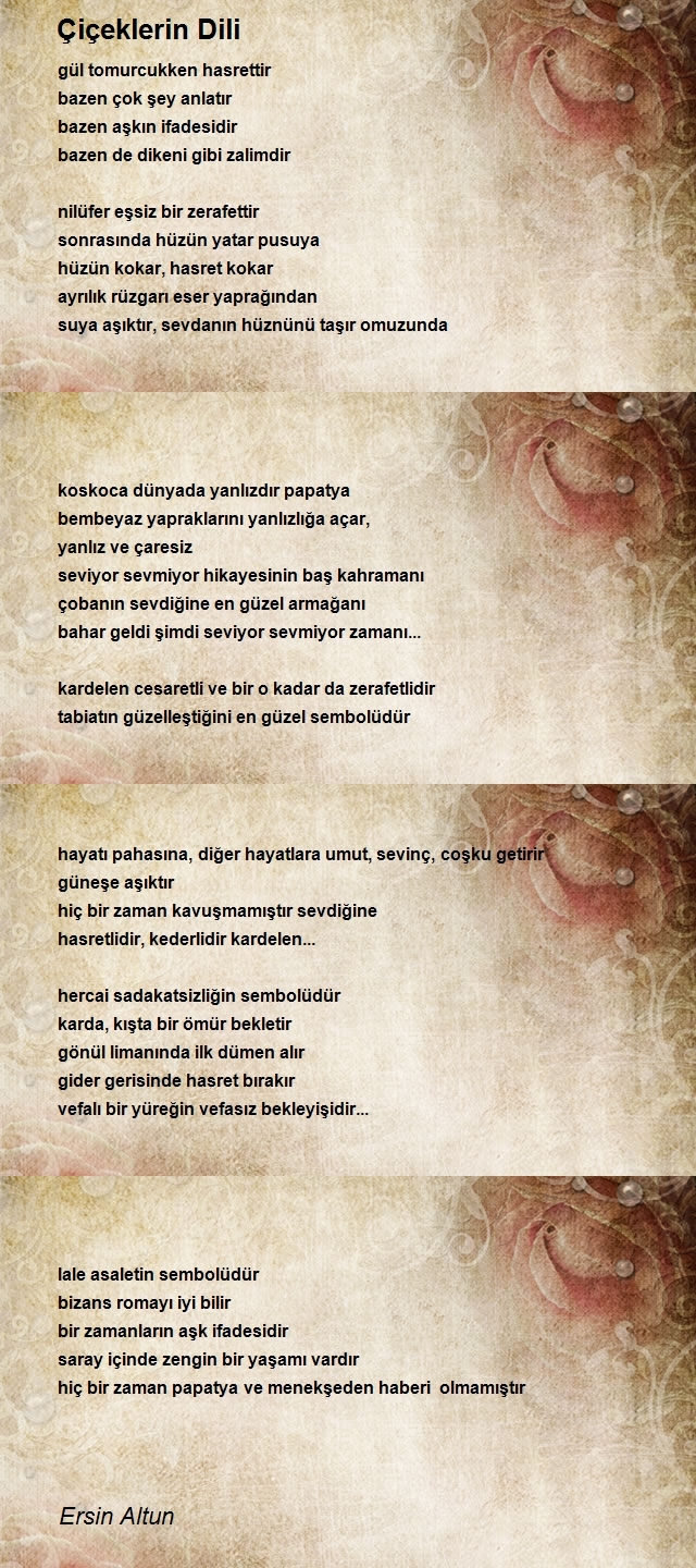 Ersin Altun