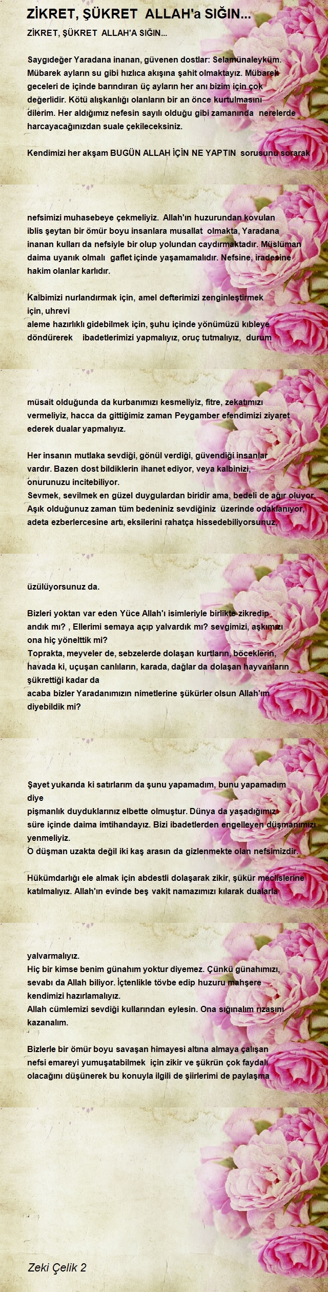 Zeki Çelik 2