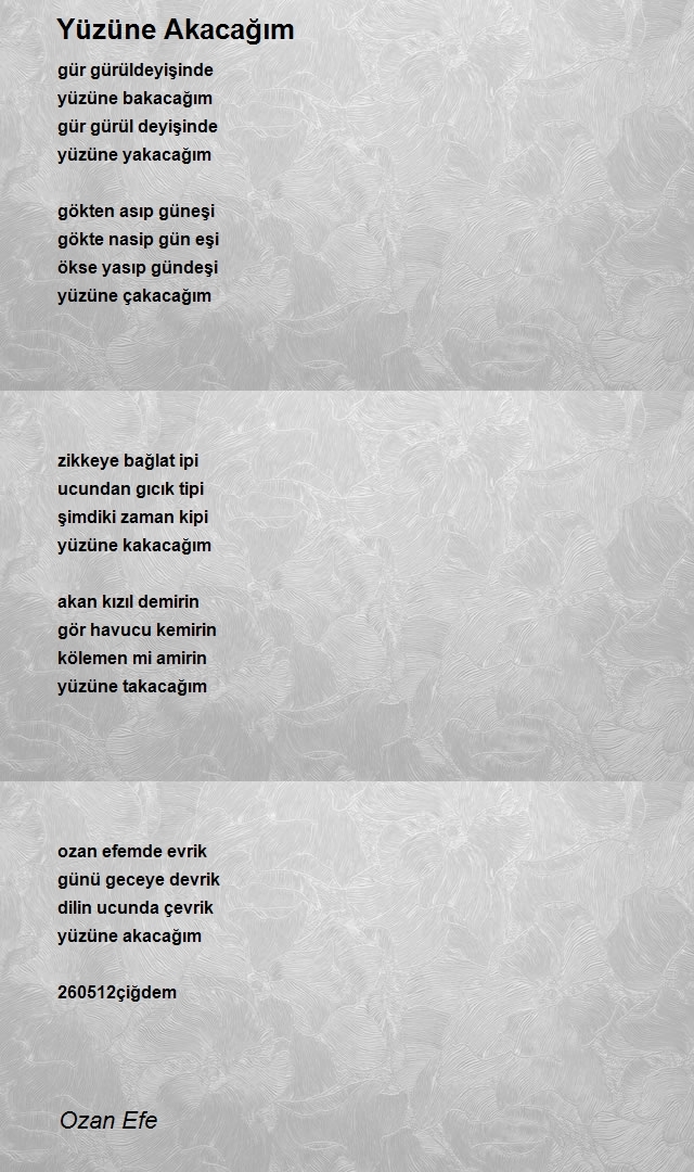 Ozan Efe