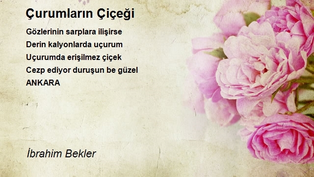 İbrahim Bekler