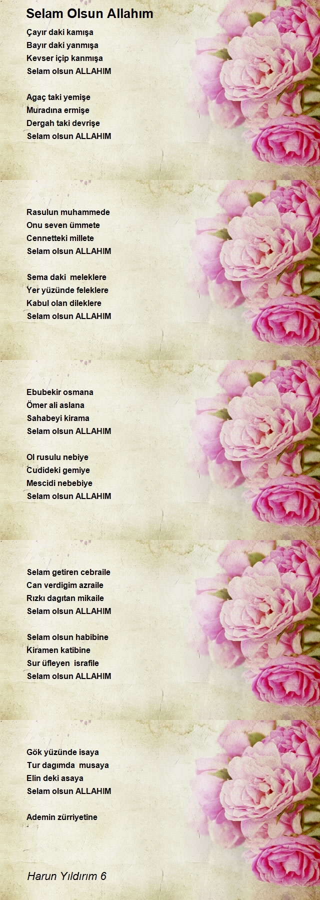 Harun Yıldırım 6