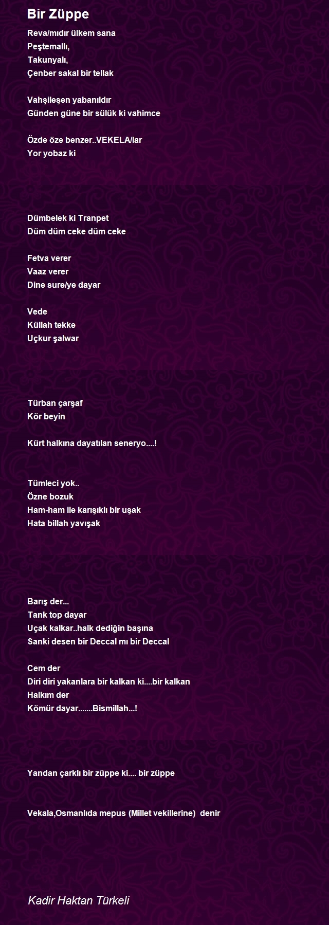 Kadir Haktan Türkeli