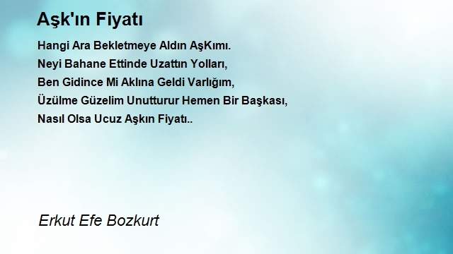 Erkut Efe Bozkurt