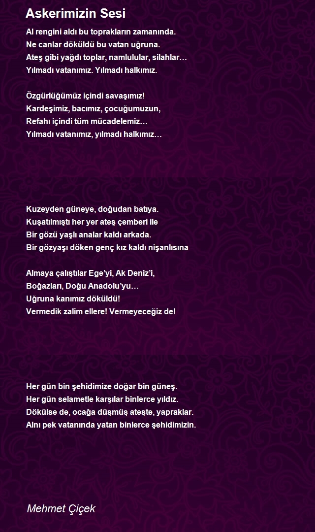 Mehmet Çiçek