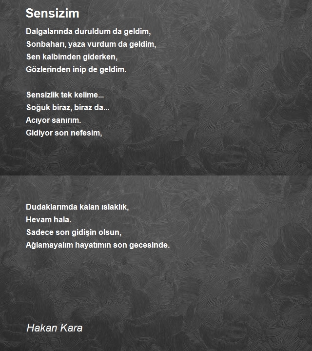Hakan Kara