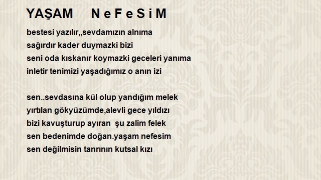 Ferhat Çetin
