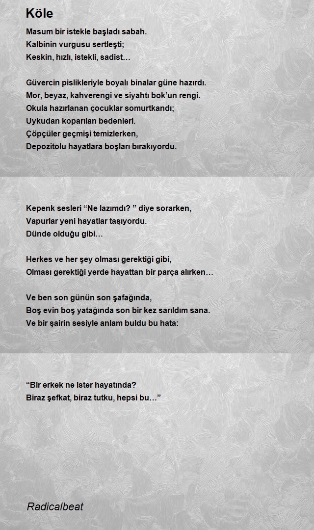 Alper Can 0