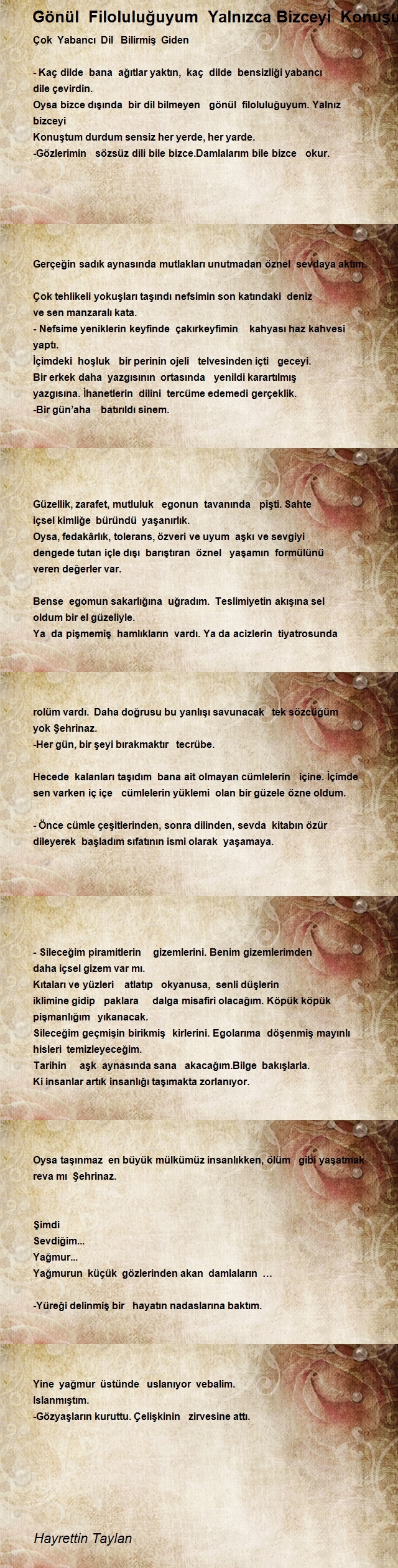 Hayrettin Taylan