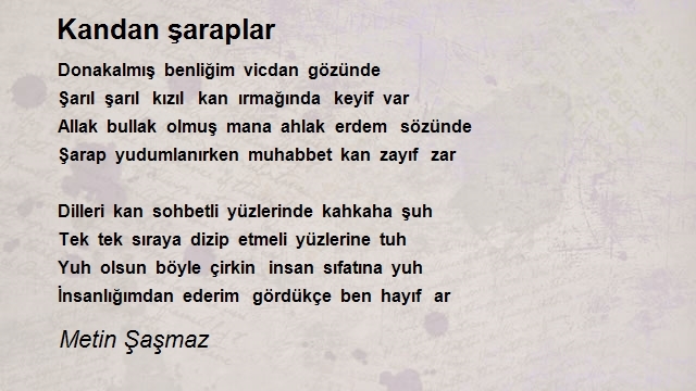 Metin Şaşmaz