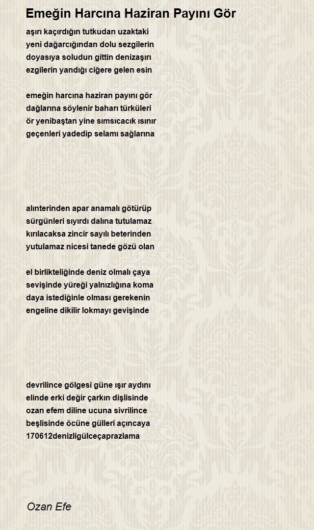 Ozan Efe