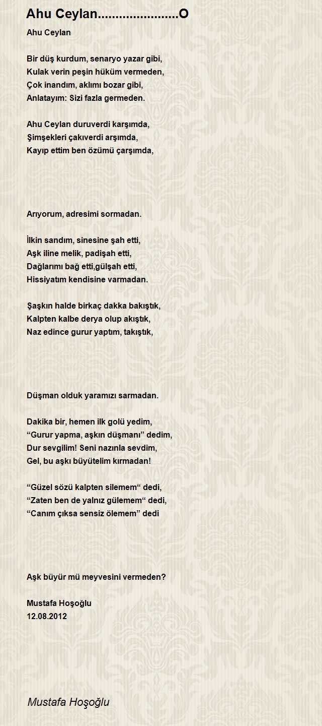 Mustafa Hoşoğlu
