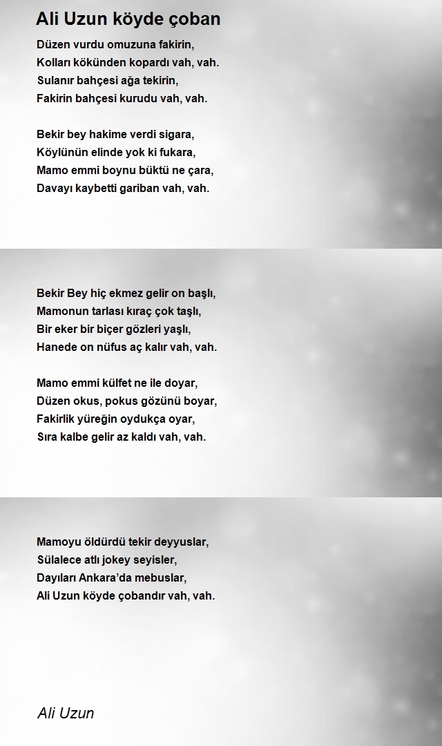Ali Uzun