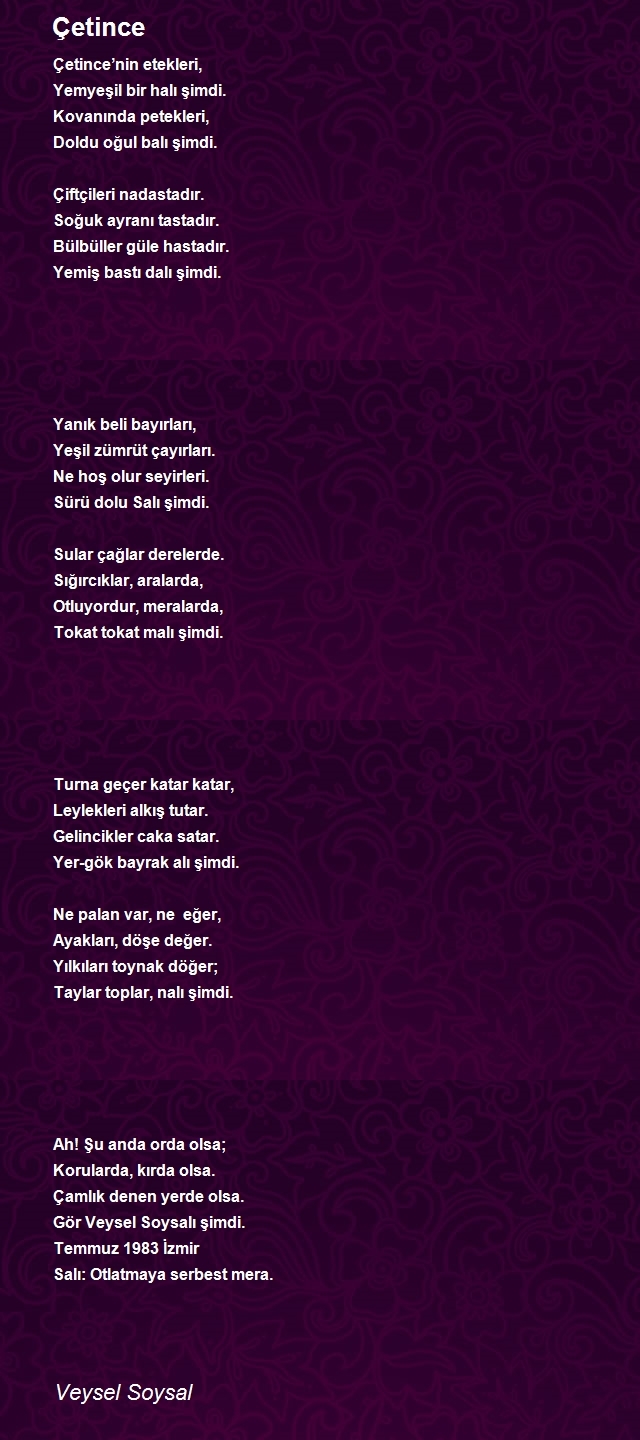 Veysel Soysal
