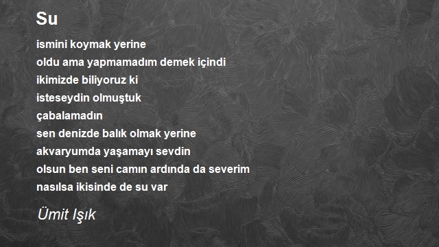 Ümit Işık