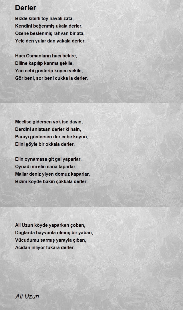 Ali Uzun