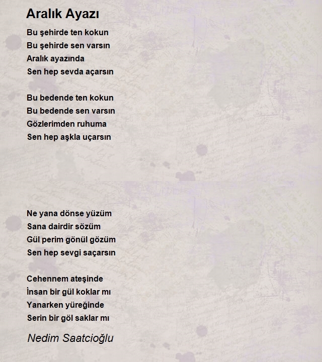 Nedim Saatcioğlu