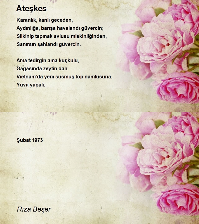 Rıza Beşer