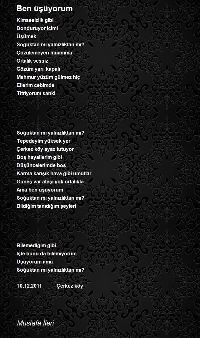 Mustafa İleri