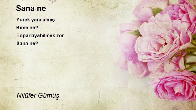 Nilüfer Gümüş