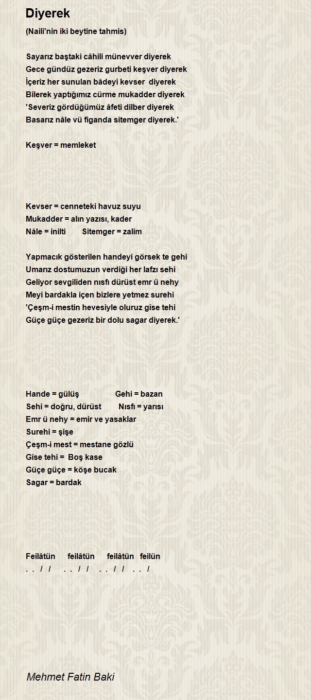 Mehmet Fatin Baki