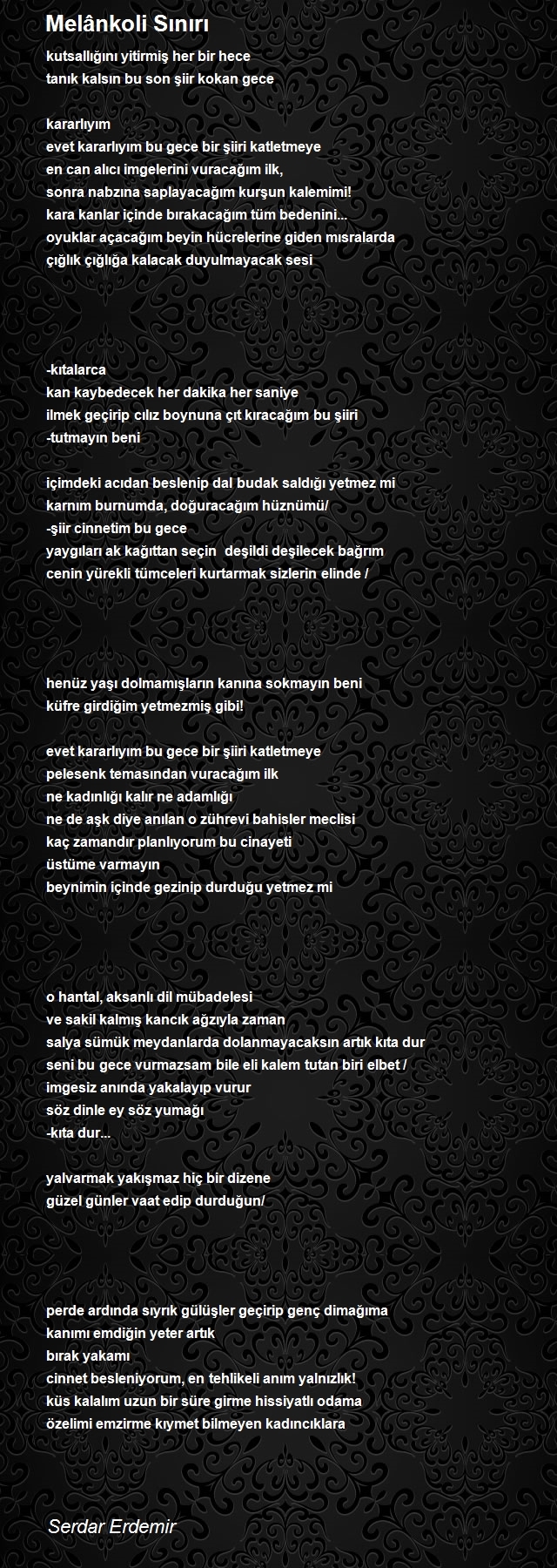 Serdar Erdemir