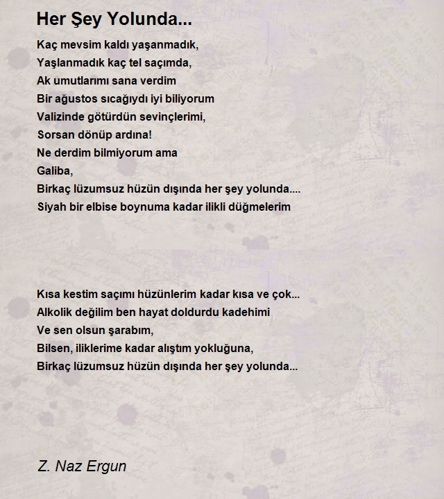 Z. Naz Ergun