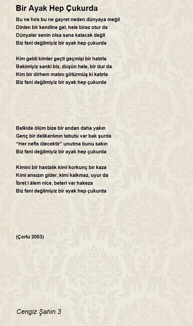 Cengiz Şahin 3