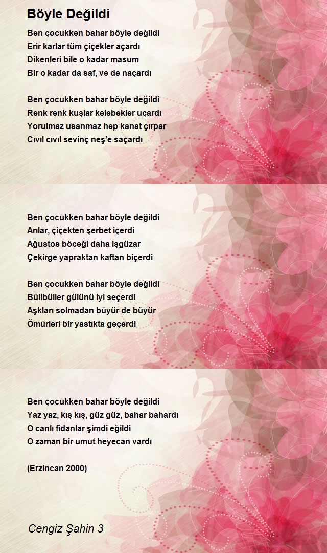 Cengiz Şahin 3