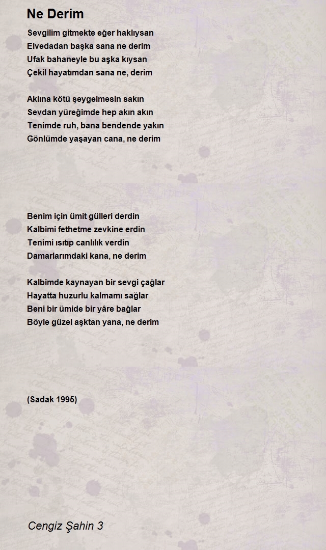 Cengiz Şahin 3