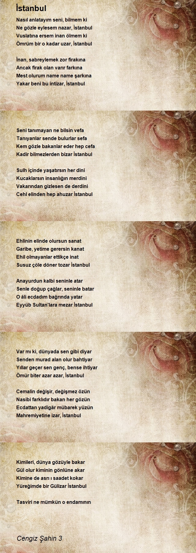 Cengiz Şahin 3