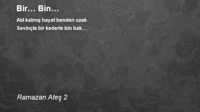 Ramazan Ateş 2