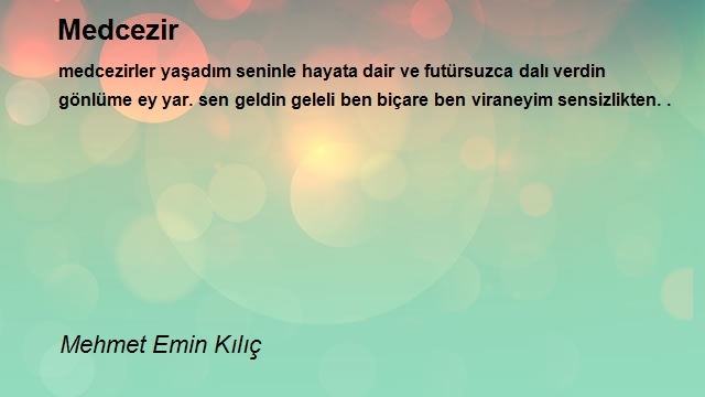 Mehmet Emin Kılıç