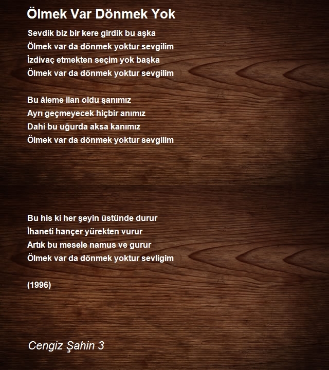 Cengiz Şahin 3