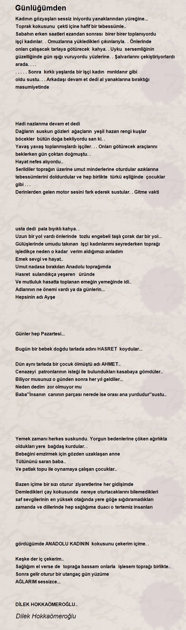Dilek Hokkaömeroğlu