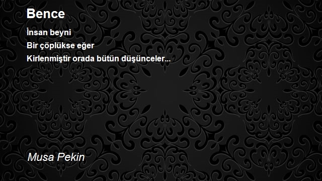 Musa Pekin