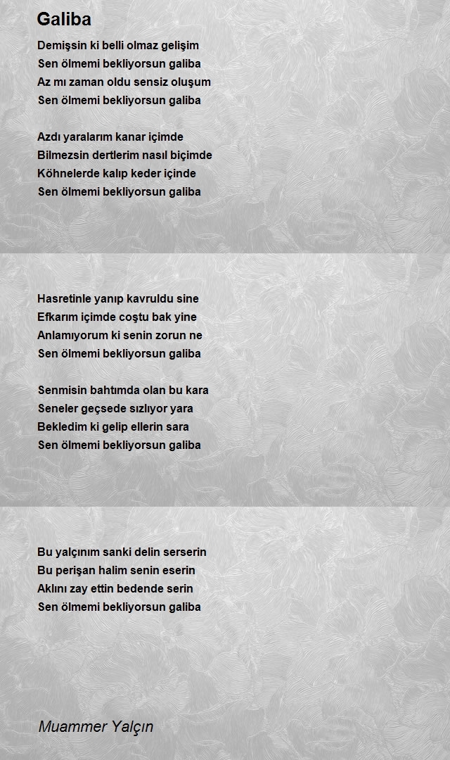 Muammer Yalçın