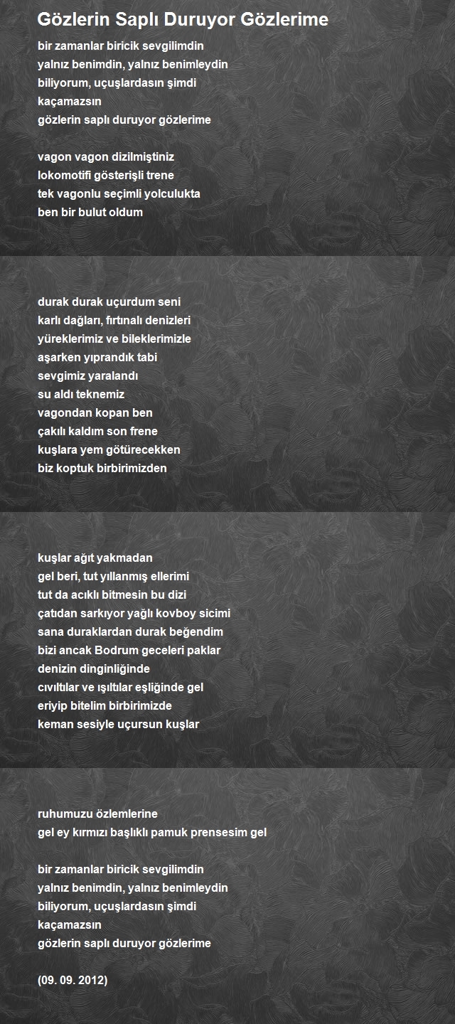 Hayri Sarı