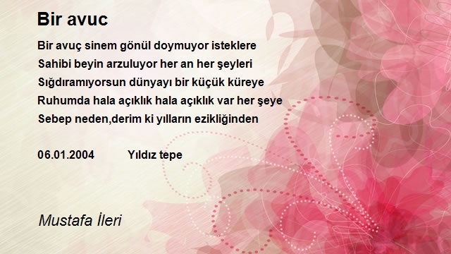 Mustafa İleri