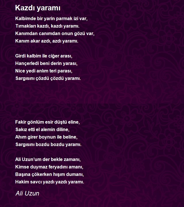 Ali Uzun