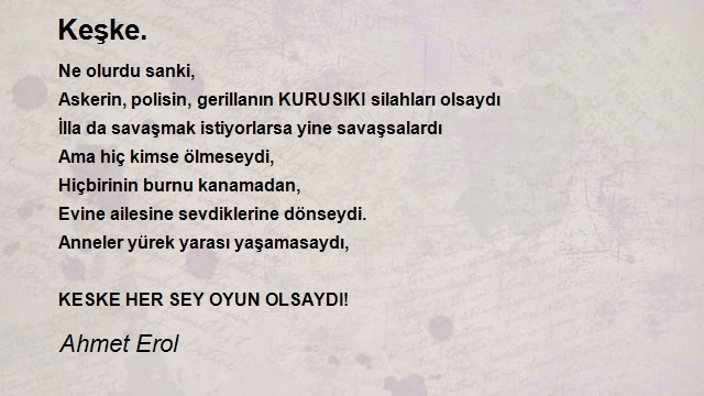 Ahmet Erol