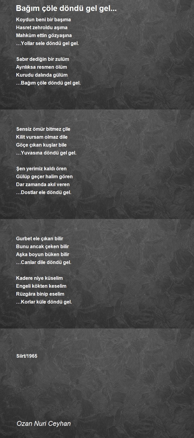 Ozan Nuri Ceyhan